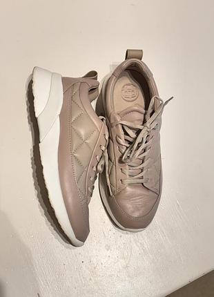 Кросівки massimo dutti