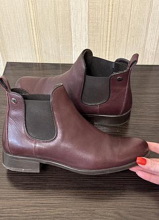 Бордовые челси lasocki размер 38 натуральная кожа