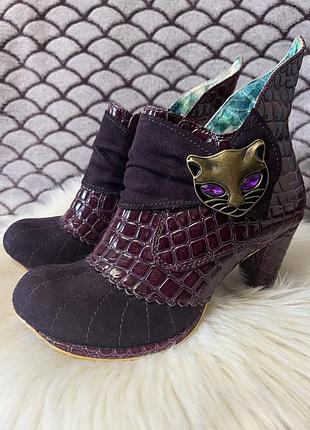 Irregular choice екстравагантні ретро черевики ботильйони на підборах з кішками фіолетові р. 37