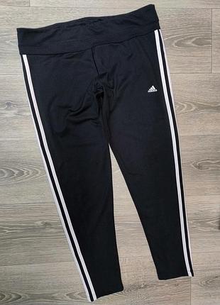 Лосіни adidas l