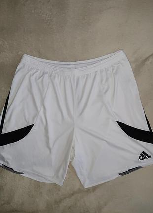 Шорти спортивні adidas climalite