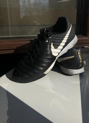 Сороконожки