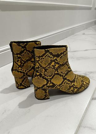 Сапожки ботинки mango 6