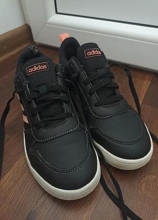 Кросівки жіночі adidas