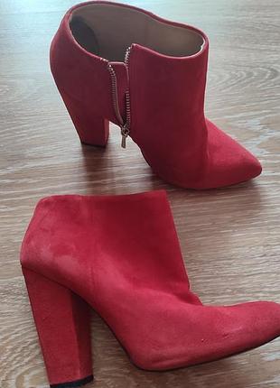 Сапоги женские замшевые