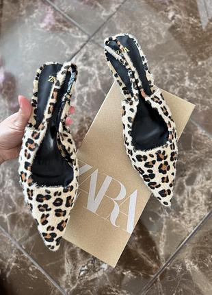 Леопардовые туфли zara на маленьких каблуках