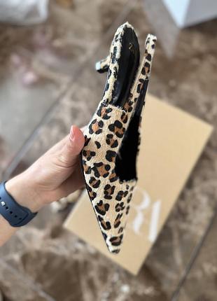 Леопардові туфлі zara на маленьких підборах 6