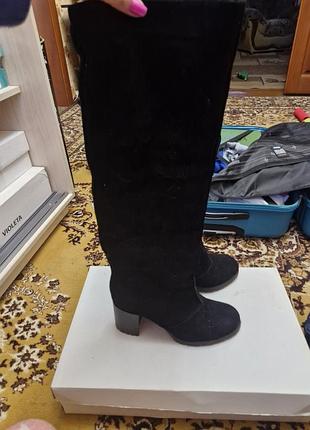 Сапоги высокие женские замша