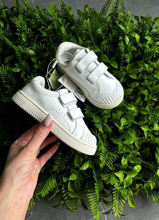 Кеды зара zara 25 размер новые