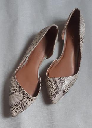 Туфли aldo 24см