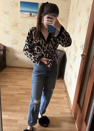 Дзинси
