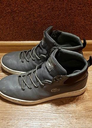 Lacoste кроссовки мужские 3
