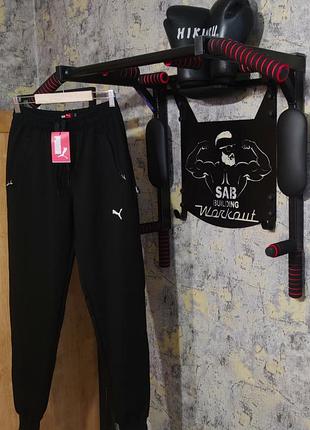 Спортивные штаны puma.