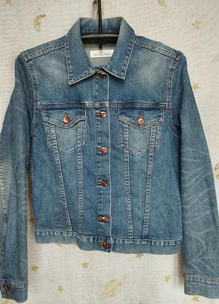 Піджак котон 48