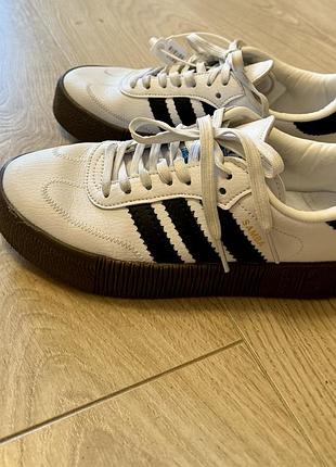 Кросівки adidas samba