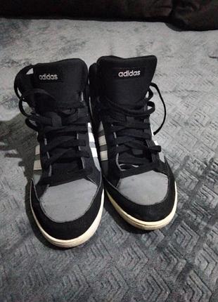 Кросівки adidas