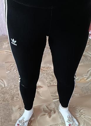 Женские велюровые лосины адидас -оригинал