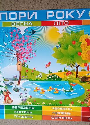 Плакат обучающий