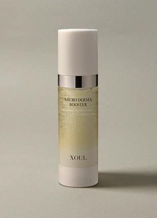 Ампула с микроиглами, кислотами и витамином c xoul micro-derma booster ampoule, 30 мл