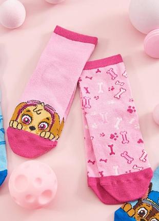 Шкарпетки, 2 пари paw patrol