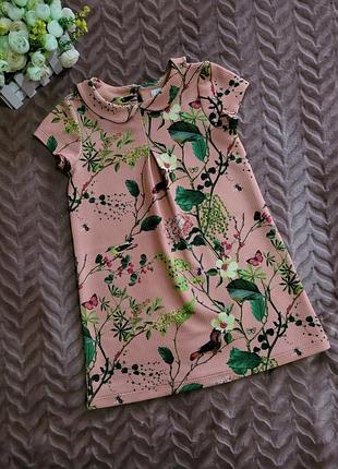 Фирменное платье next райские птички