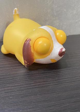 Сквиш собака