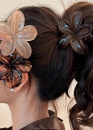 Заколка крабик трендова