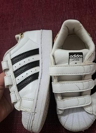 Кроссовки adidas superstar
