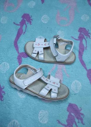 Босоножки clarks 32 босоножки clarks 33