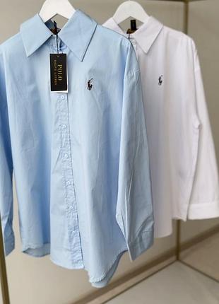 Рубашка polo-shirts Grey loafers