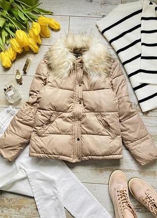 Бежева зимня курточка miss selfridge