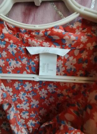 Блуза, туніка 5