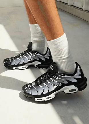 Кросівки nike air max plus tn white/black 2