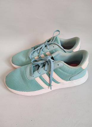 Кроссовки кросiвки  adidas neo