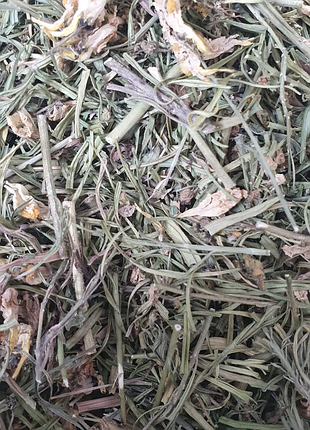 100 г льонок звичайний трава сушена (свіжий урожай) лат. linaria vulgaris