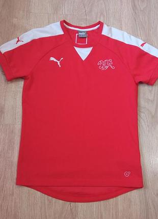 Футболка мужская puma drycell switzerland diffused