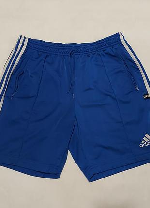 Шорти adidas