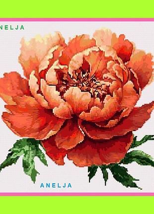 Схема крестиком пион