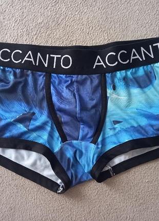Брендовые боксеры accanto.