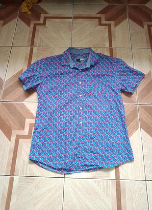 Крута чоловіча сорочка в ідеальному стані 100% cotton від cotton & silk