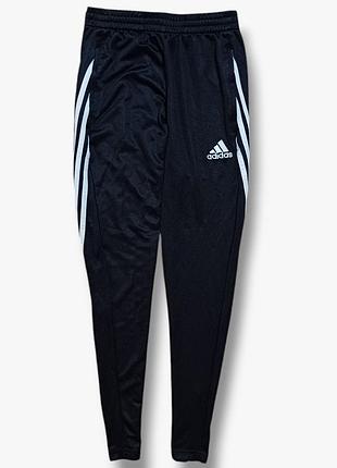 Спортивные штаны adidas climalite
