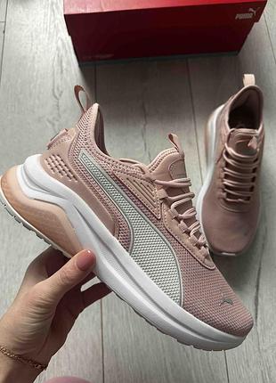 Кросівки puma,  оригінал