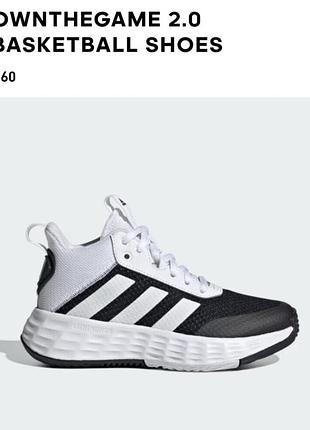 Кроссiвки adidas р.38