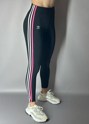 Лосіни adidas