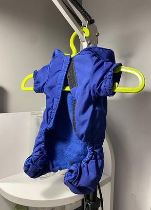 Одяг для собак