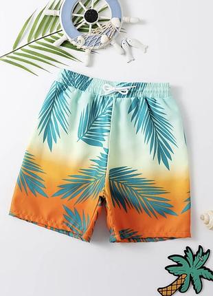C&amp;a шорты летние для подростка 170см 5