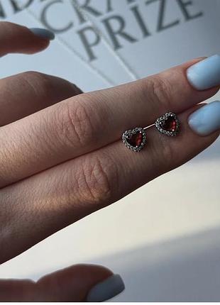 Серебряные серьги в стиле pandora s925
