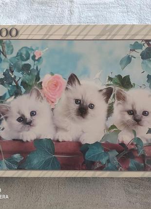 Пазл 2000 котики