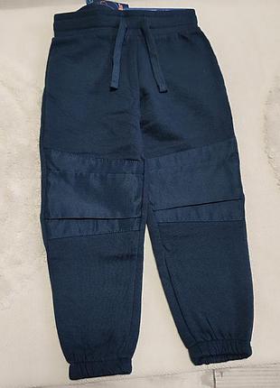 Спортивні штани джогеры з начосом lupilu