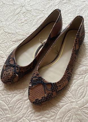 Балетки жіночі змія пітон